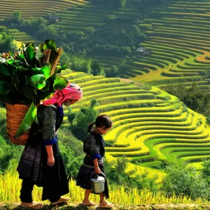 GS2: 사파 1박2일 LAO CHAI- TA VAN VILLAGE  (가이드-입장권- 식사- 버스) / TOUR SAPA 2N1Đ (Ở HOMESTAY) LAO CHẢI- TẢ VAN