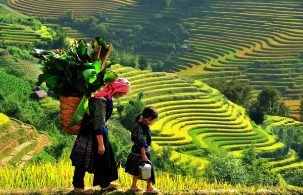 GS2: 사파 1박2일 LAO CHAI- TA VAN VILLAGE  (가이드-입장권- 식사- 버스) / TOUR SAPA 2N1Đ (Ở HOMESTAY) LAO CHẢI- TẢ VAN