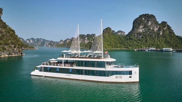 6성급 제이드 세일 크루즈 당일 투어 (가이드- 식사- 입장권 포함) Du thuyền Ngày Jade Sail Cruise 6* - Ảnh 4