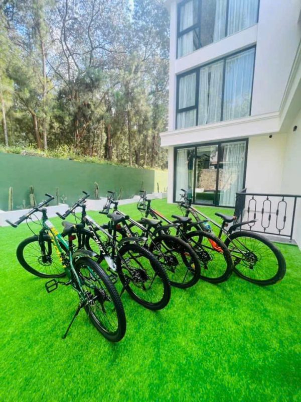 Villa T151 Flamingo – 자연 속의 비밀스러운 힐링 공간 - Ảnh 6